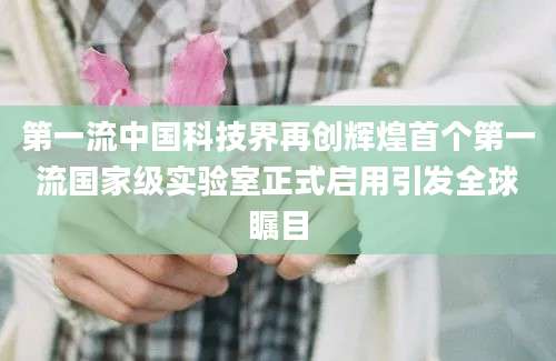 第一流中国科技界再创辉煌首个第一流国家级实验室正式启用引发全球瞩目