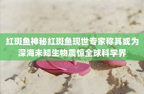 红斑鱼神秘红斑鱼现世专家称其或为深海未知生物震惊全球科学界