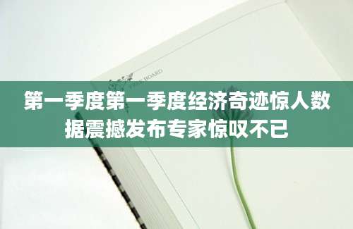 第一季度第一季度经济奇迹惊人数据震撼发布专家惊叹不已