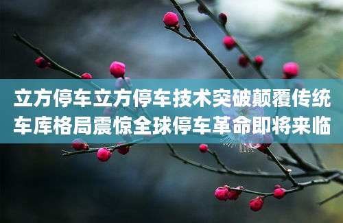 立方停车立方停车技术突破颠覆传统车库格局震惊全球停车革命即将来临