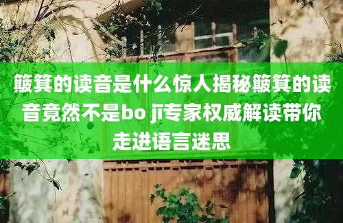 簸箕的读音是什么惊人揭秘簸箕的读音竟然不是bo jī专家权威解读带你走进语言迷思