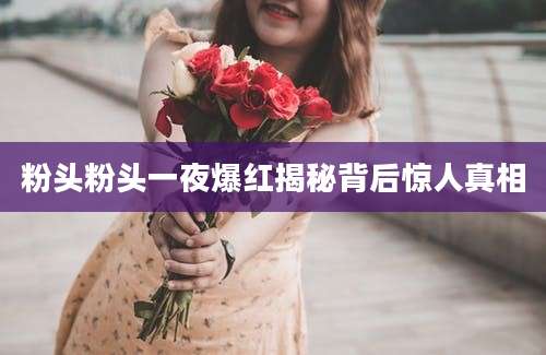 粉头粉头一夜爆红揭秘背后惊人真相