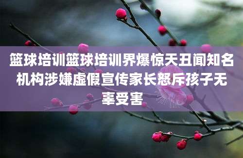 篮球培训篮球培训界爆惊天丑闻知名机构涉嫌虚假宣传家长怒斥孩子无辜受害