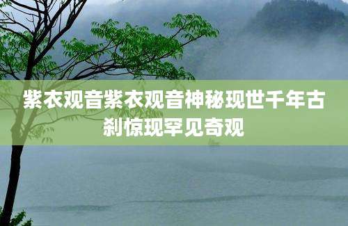 紫衣观音紫衣观音神秘现世千年古刹惊现罕见奇观
