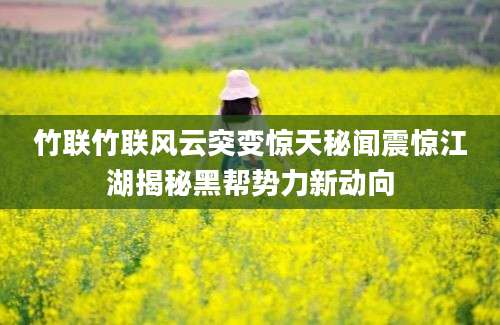竹联竹联风云突变惊天秘闻震惊江湖揭秘黑帮势力新动向