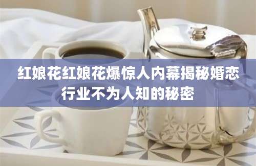 红娘花红娘花爆惊人内幕揭秘婚恋行业不为人知的秘密