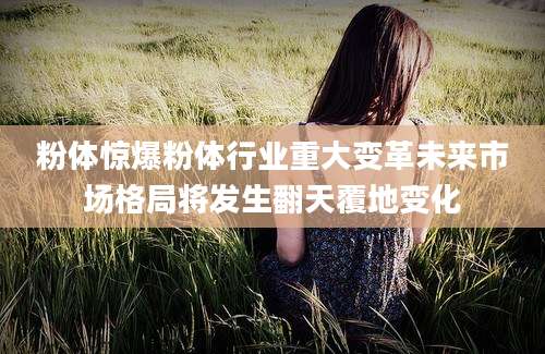 粉体惊爆粉体行业重大变革未来市场格局将发生翻天覆地变化