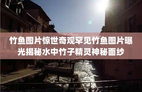 竹鱼图片惊世奇观罕见竹鱼图片曝光揭秘水中竹子精灵神秘面纱