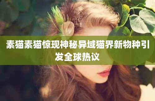 素猫素猫惊现神秘异域猫界新物种引发全球热议
