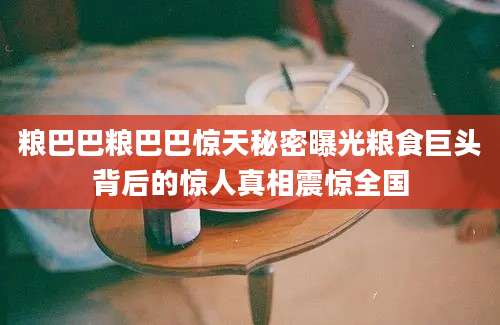 粮巴巴粮巴巴惊天秘密曝光粮食巨头背后的惊人真相震惊全国