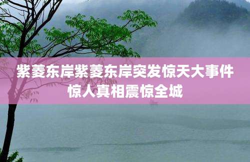 紫菱东岸紫菱东岸突发惊天大事件惊人真相震惊全城
