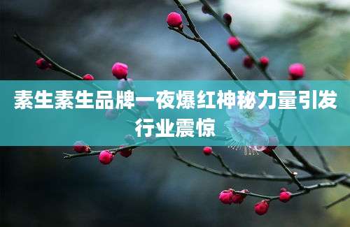素生素生品牌一夜爆红神秘力量引发行业震惊