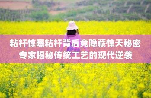 粘杆惊曝粘杆背后竟隐藏惊天秘密专家揭秘传统工艺的现代逆袭