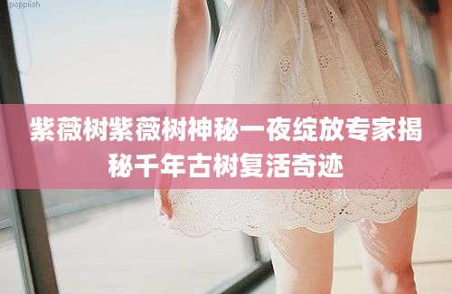 紫薇树紫薇树神秘一夜绽放专家揭秘千年古树复活奇迹