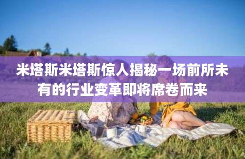 米塔斯米塔斯惊人揭秘一场前所未有的行业变革即将席卷而来
