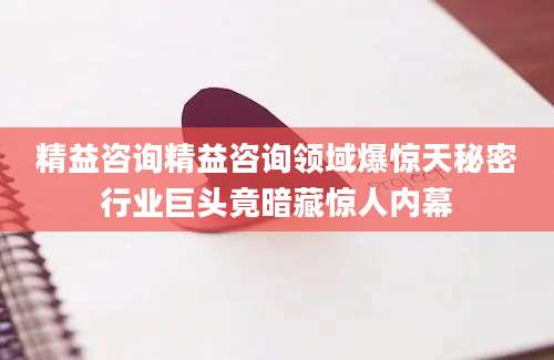 精益咨询精益咨询领域爆惊天秘密行业巨头竟暗藏惊人内幕