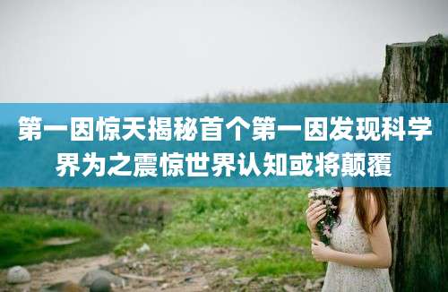 第一因惊天揭秘首个第一因发现科学界为之震惊世界认知或将颠覆