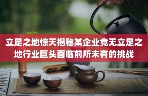 立足之地惊天揭秘某企业竟无立足之地行业巨头面临前所未有的挑战