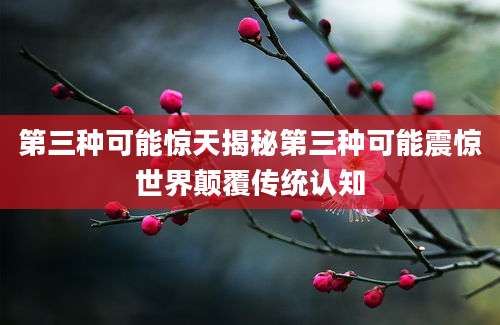 第三种可能惊天揭秘第三种可能震惊世界颠覆传统认知