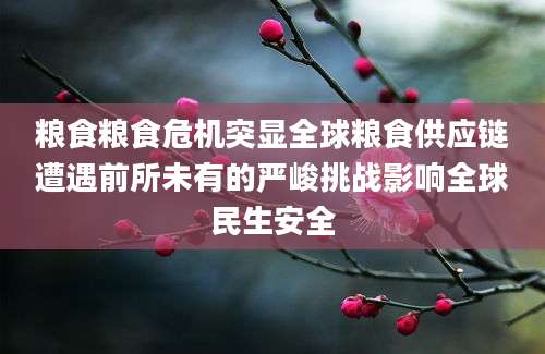 粮食粮食危机突显全球粮食供应链遭遇前所未有的严峻挑战影响全球民生安全