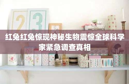 红兔红兔惊现神秘生物震惊全球科学家紧急调查真相