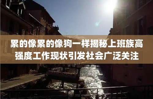 累的像累的像狗一样揭秘上班族高强度工作现状引发社会广泛关注