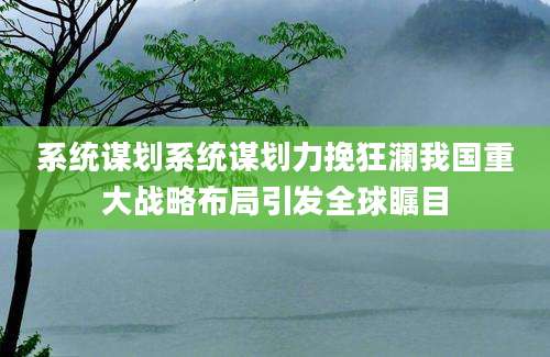 系统谋划系统谋划力挽狂澜我国重大战略布局引发全球瞩目