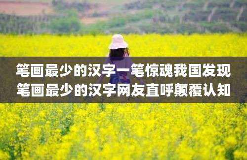 笔画最少的汉字一笔惊魂我国发现笔画最少的汉字网友直呼颠覆认知