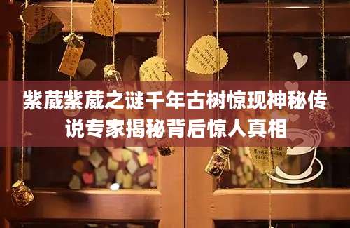 紫葳紫葳之谜千年古树惊现神秘传说专家揭秘背后惊人真相