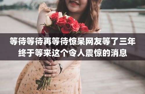 等待等待再等待惊呆网友等了三年终于等来这个令人震惊的消息