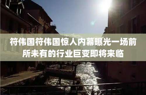 符伟国符伟国惊人内幕曝光一场前所未有的行业巨变即将来临