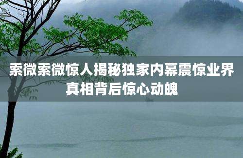 索微索微惊人揭秘独家内幕震惊业界真相背后惊心动魄