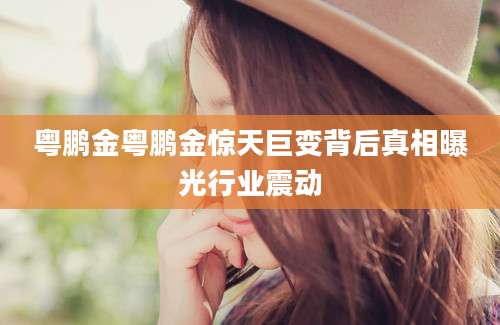 粤鹏金粤鹏金惊天巨变背后真相曝光行业震动