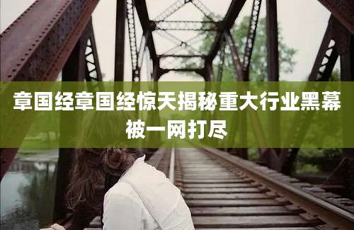 章国经章国经惊天揭秘重大行业黑幕被一网打尽
