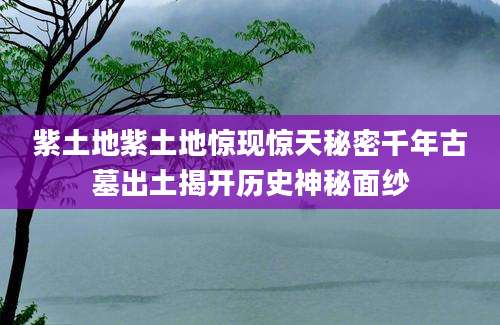 紫土地紫土地惊现惊天秘密千年古墓出土揭开历史神秘面纱