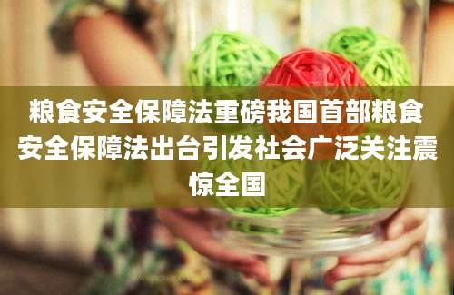 粮食安全保障法重磅我国首部粮食安全保障法出台引发社会广泛关注震惊全国