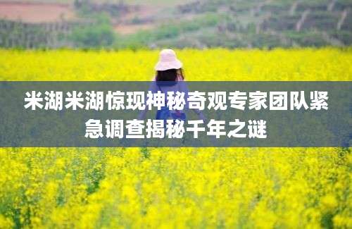 米湖米湖惊现神秘奇观专家团队紧急调查揭秘千年之谜