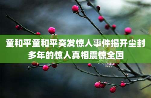 童和平童和平突发惊人事件揭开尘封多年的惊人真相震惊全国