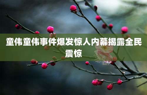 童伟童伟事件爆发惊人内幕揭露全民震惊