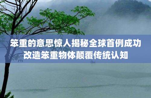 笨重的意思惊人揭秘全球首例成功改造笨重物体颠覆传统认知
