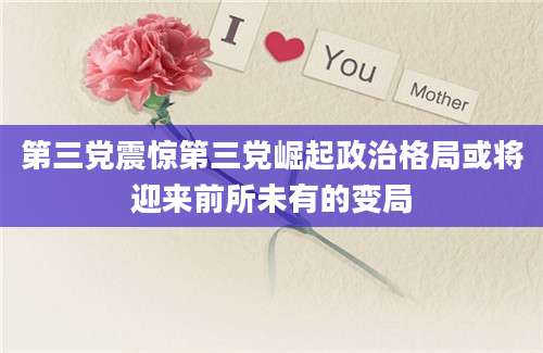 第三党震惊第三党崛起政治格局或将迎来前所未有的变局