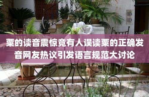 粟的读音震惊竟有人误读粟的正确发音网友热议引发语言规范大讨论