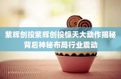 紫辉创投紫辉创投惊天大动作揭秘背后神秘布局行业震动