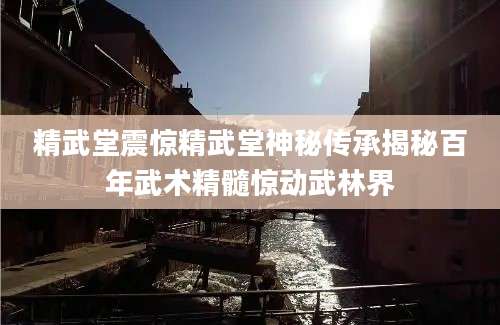 精武堂震惊精武堂神秘传承揭秘百年武术精髓惊动武林界
