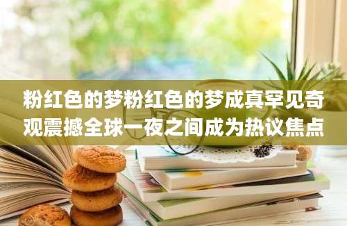 粉红色的梦粉红色的梦成真罕见奇观震撼全球一夜之间成为热议焦点