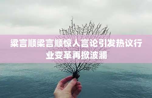 粱言顺梁言顺惊人言论引发热议行业变革再掀波澜
