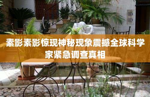 素影素影惊现神秘现象震撼全球科学家紧急调查真相