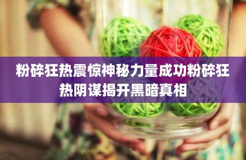 粉碎狂热震惊神秘力量成功粉碎狂热阴谋揭开黑暗真相