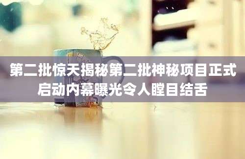 第二批惊天揭秘第二批神秘项目正式启动内幕曝光令人瞠目结舌