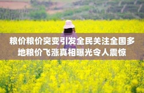 粮价粮价突变引发全民关注全国多地粮价飞涨真相曝光令人震惊